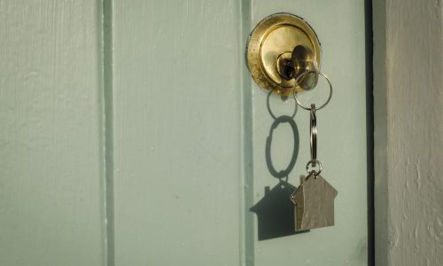 What Will Happen to Interest Rates? Insights from MAPIO Financial